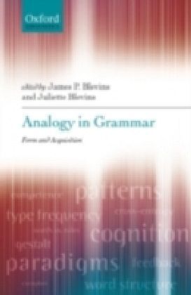 Analogy in Grammar