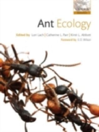 Ant Ecology main product photo