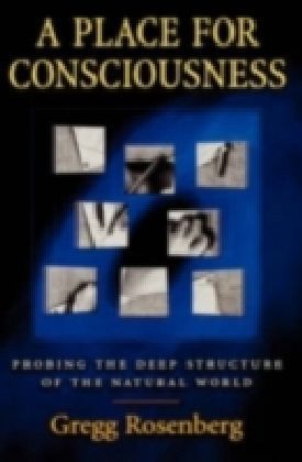 Place for Consciousness