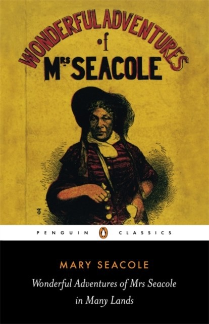 Wonderful Adventures of Mrs Seacole in Many Lands main product photo