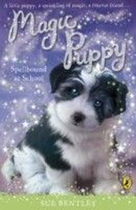 Magic Puppy: Spellbound at School main product photo