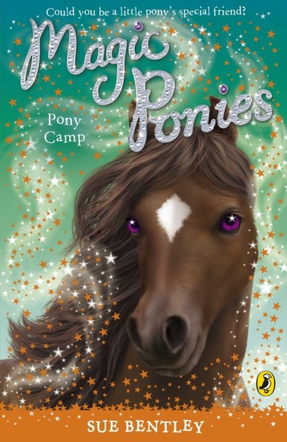 Magic Ponies: Pony Camp main product photo