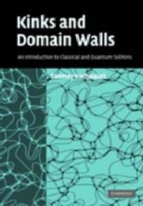 Kinks and Domain Walls