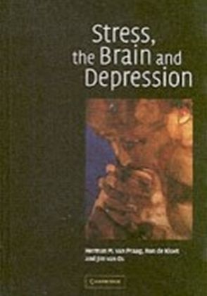 Stress, the Brain and Depression main product photo