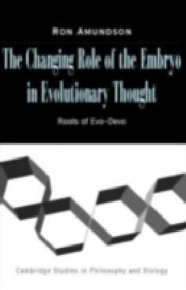 Changing Role of the Embryo in Evolutionary Thought