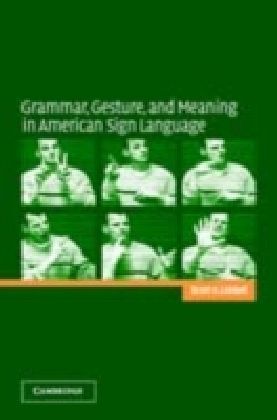 Grammar, Gesture, and Meaning in American Sign Language main product photo