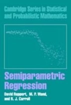 Semiparametric Regression main product photo
