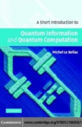 Short Introduction to Quantum Information and Quantum Computation