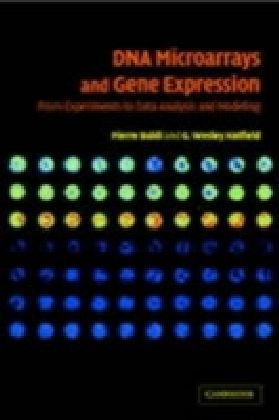 DNA Microarrays and Gene Expression