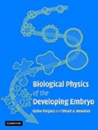 Biological Physics of the Developing Embryo main product photo