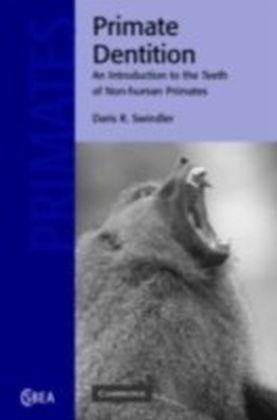 Primate Dentition