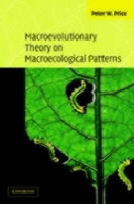 Macroevolutionary Theory on Macroecological Patterns main product photo