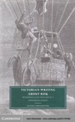 Victorian Writing about Risk