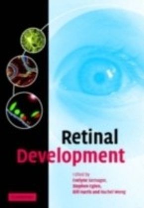Retinal Development main product photo