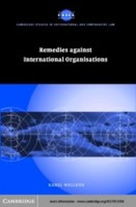 Remedies against International Organisations