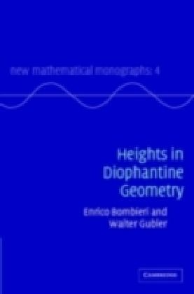 Heights in Diophantine Geometry