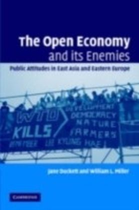 Open Economy and its Enemies main product photo