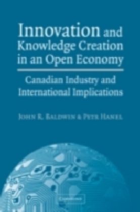 Innovation and Knowledge Creation in an Open Economy main product photo