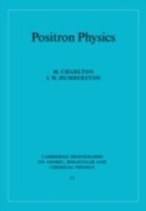 Positron Physics