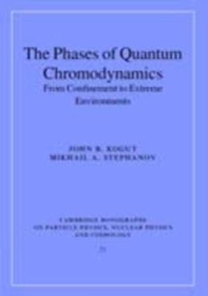 Phases of Quantum Chromodynamics