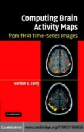 Computing Brain Activity Maps from fMRI Time-Series Images