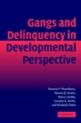 Gangs and Delinquency in Developmental Perspective main product photo