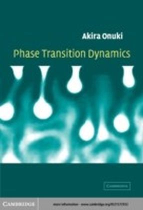 Phase Transition Dynamics