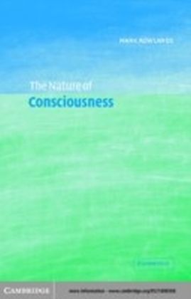 Nature of Consciousness