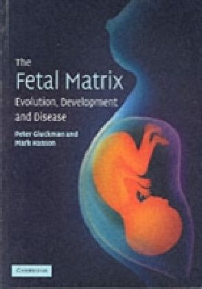 Fetal Matrix