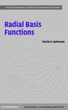 Radial Basis Functions main product photo