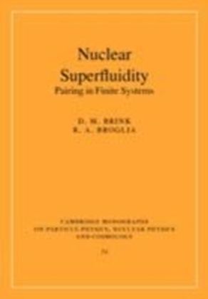 Nuclear Superfluidity