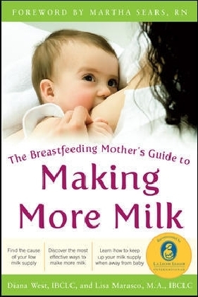Breastfeeding Mother's Guide to Making More Milk main product photo