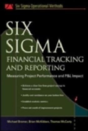 Six Sigma Financial Tracking and Reporting main product photo