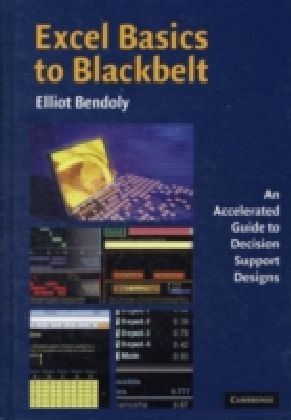 Excel Basics to Blackbelt
