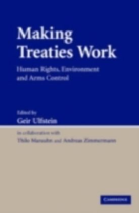 Making Treaties Work