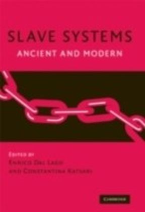 Slave Systems main product photo