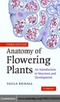 Anatomy of Flowering Plants