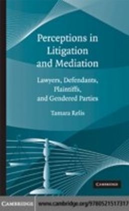 Perceptions in Litigation and Mediation