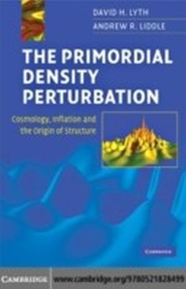Primordial Density Perturbation