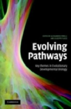 Evolving Pathways
