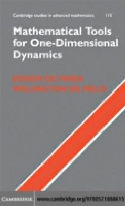 Mathematical Tools for One-Dimensional Dynamics