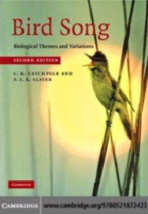 Bird Song
