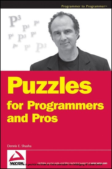 Puzzles for Programmers and Pros main product photo