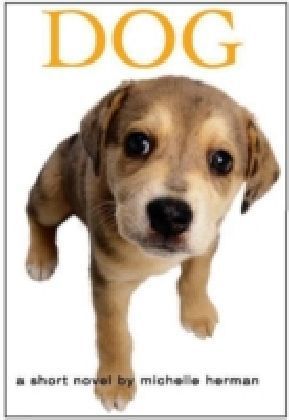 Dog main product photo
