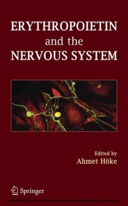 Erythropoietin and the Nervous System