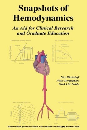 Snapshots of Hemodynamics