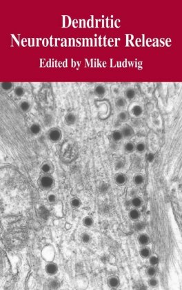 Dendritic Neurotransmitter Release