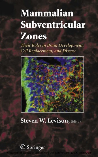 Mammalian Subventricular Zones main product photo