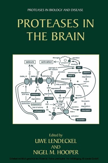 Proteases in the Brain main product photo