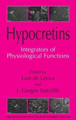 Hypocretins